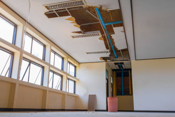 Best Water damage contractors near me  in Warrenton, GA