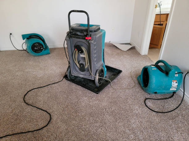 Best Water damage restoration process  in Warrenton, GA