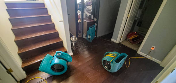 Best Flood damage cleanup  in Warrenton, GA