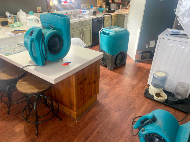 Best Fire Damage Restoration  in Warrenton, GA