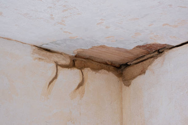 Best Ceiling water damage repair  in Warrenton, GA