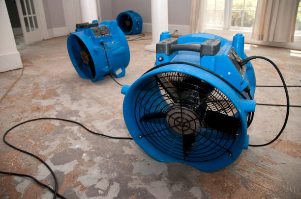 Best Carpet water damage restoration  in Warrenton, GA