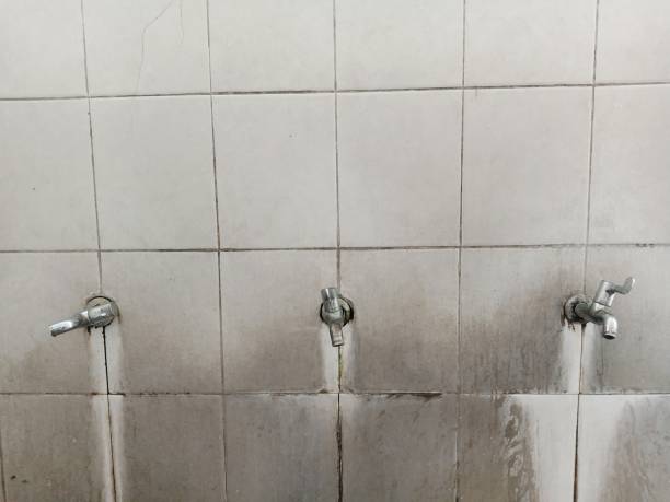 Best Flood restoration services  in Warrenton, GA