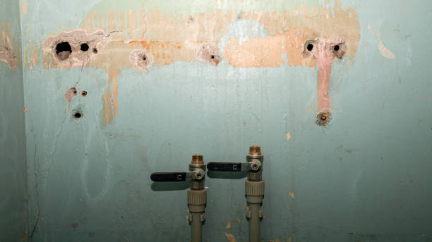 Best Residential water damage restoration  in Warrenton, GA