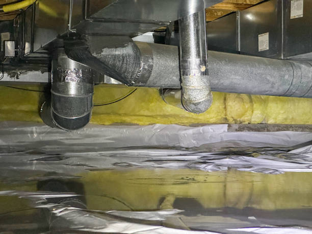 Best Professional water damage repair  in Warrenton, GA