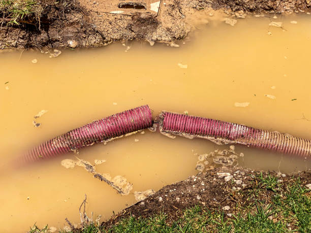 Sewage cleanup and water damage restoration in Warrenton, GA