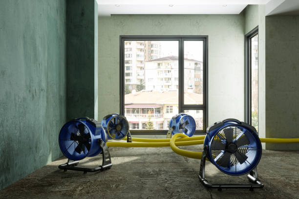 Best Water damage cleanup near me  in Warrenton, GA
